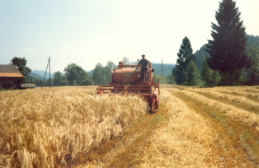 MF Drescher 04